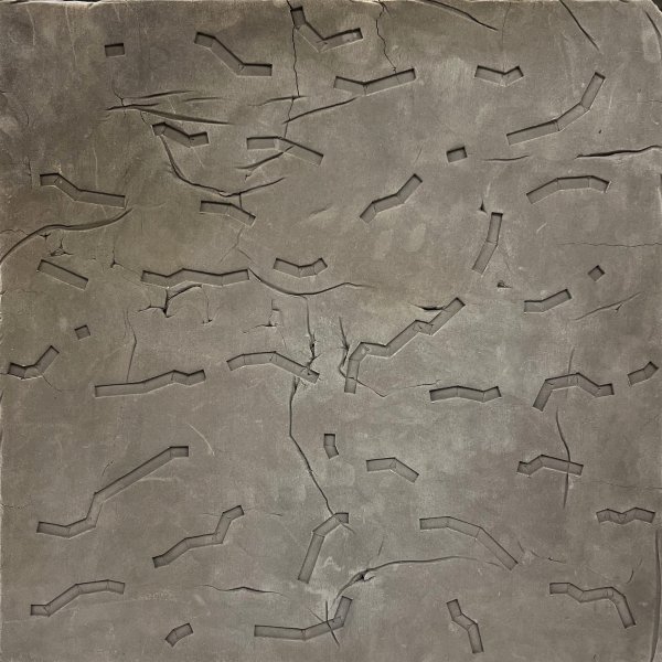 Territori assenyalat _ CLXXVI - 56 x 56 -2023