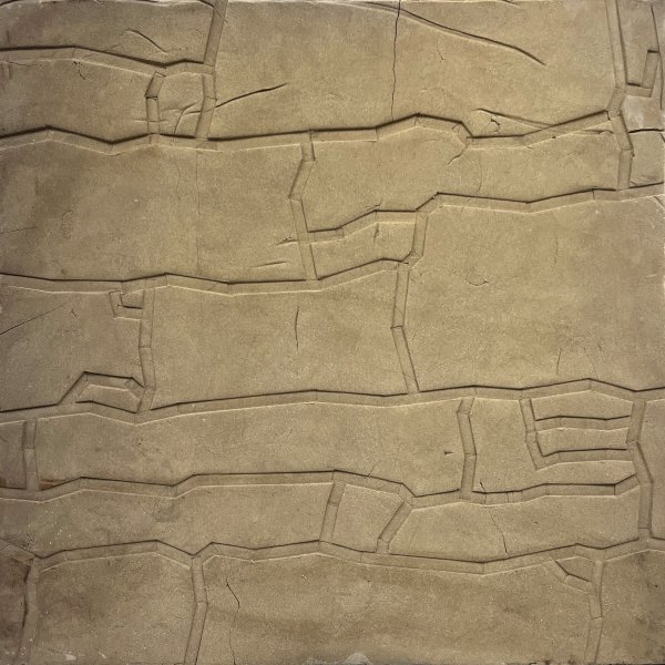 Territori assenyalat _ CLXXX - 56 x 56 -2023