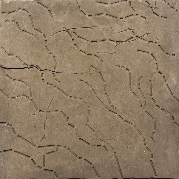 Territori assenyalat _ CLXXXVI - 56 x 56 -2023