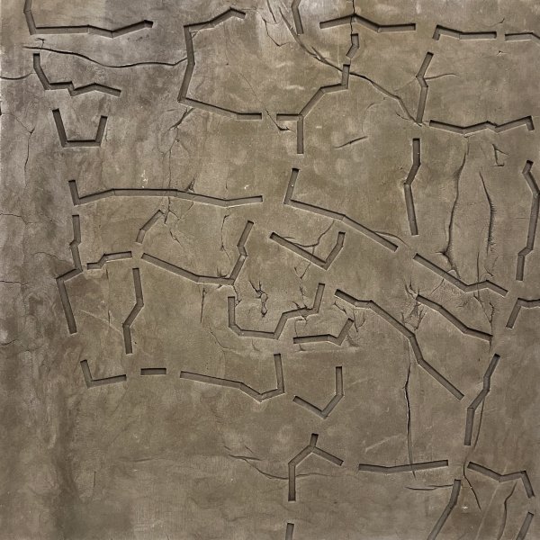 Territori assenyalat _ CLXXXVII - 56 x 56 -2023