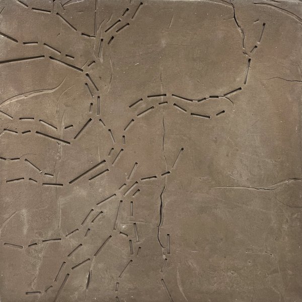 Territori assenyalat _ CLXXIX - 56 x 56 -2023