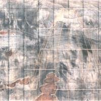 029_w200_h200_cw200_ch200_thumb