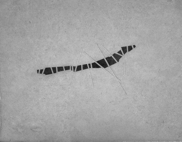 SERIE ESSAOUIRA-SAFI- (36)