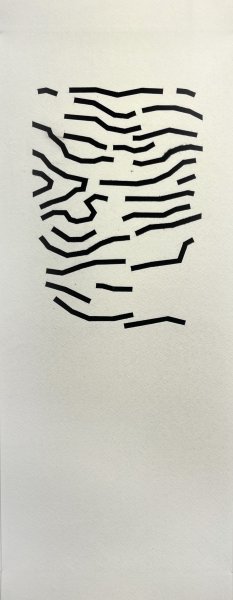 SERIE PANORAMES (14) - 180 x 70 - 2023